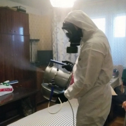 Дезинфекция от клопов в Ижевске