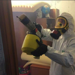 Уничтожение клопов в квартире. Ижевск